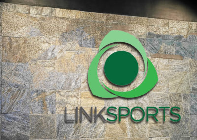 Linksports Inc. About Us